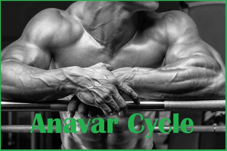 Articles Image Anavar Cycle Articles Image Anavar Cycle