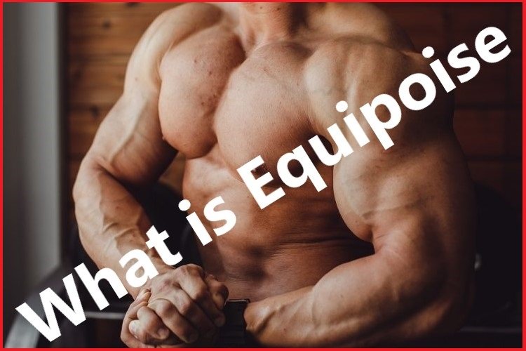 What is Equipoise?