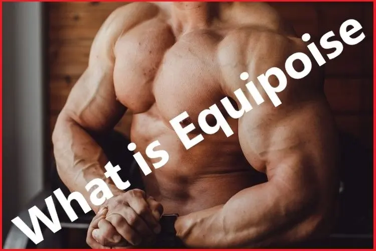 What is Equipoise? What is Equipoise?