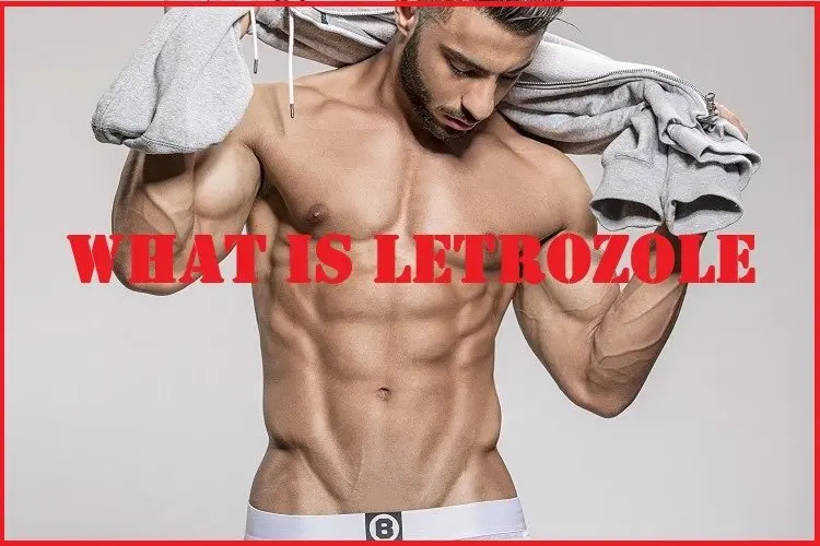 What is Letrozole? What is Letrozole?