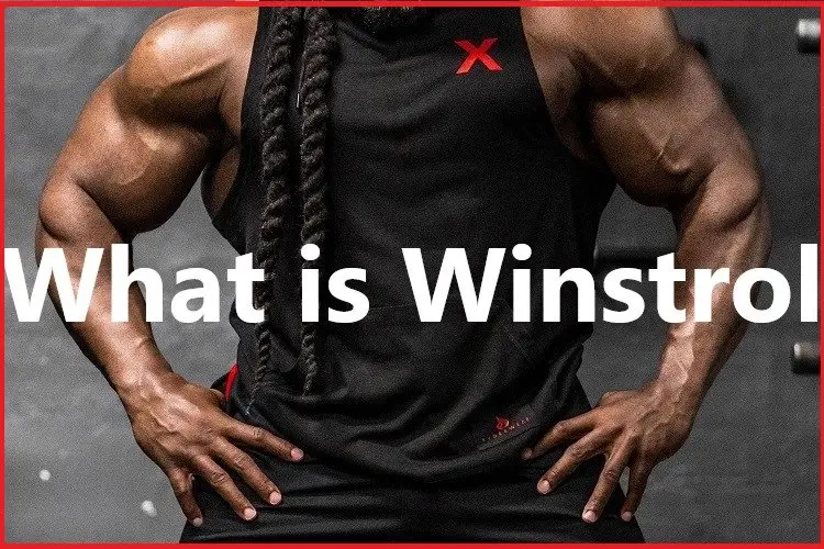 What is Winstrol? What is Winstrol?