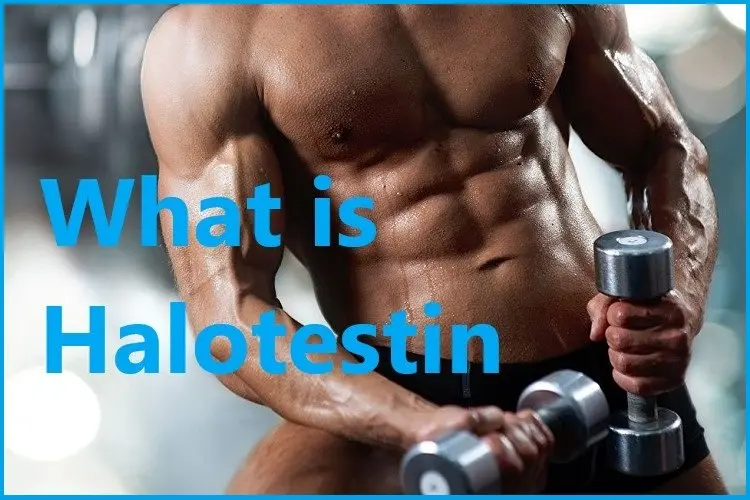 What is Halotestin? What is Halotestin?
