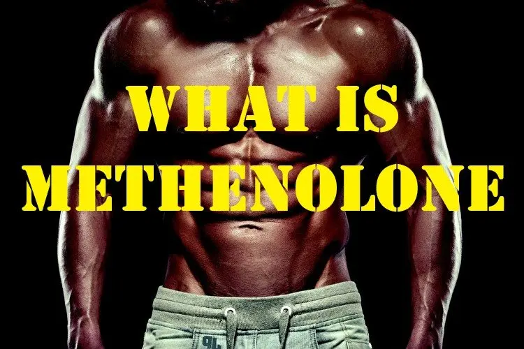 What is Methenolone? What is Methenolone?