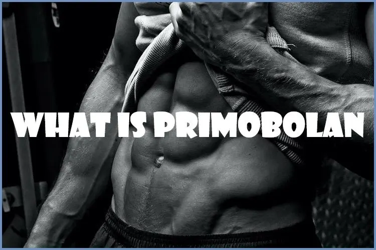 What is Primobolan? What is Primobolan?