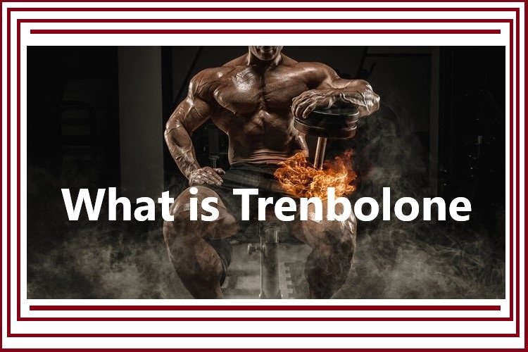 Articles Image What is Trenbolone?