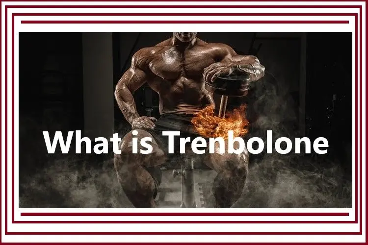What is Trenbolone? What is Trenbolone?