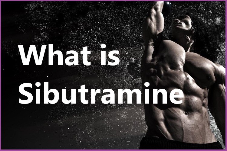Articles Image What is Sibutramine?