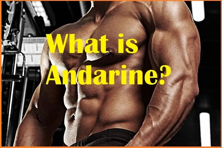 What is Andarine? What is Andarine?