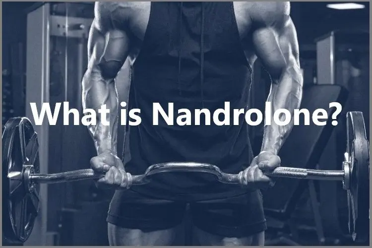 What is Nandrolone? What is Nandrolone?