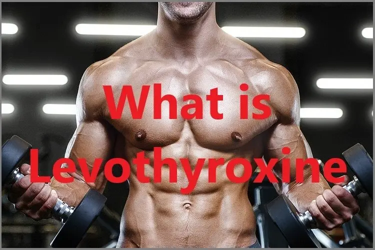 What is Levothyroxine? What is Levothyroxine?