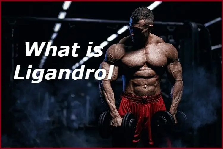What is Ligandrol? What is Ligandrol?