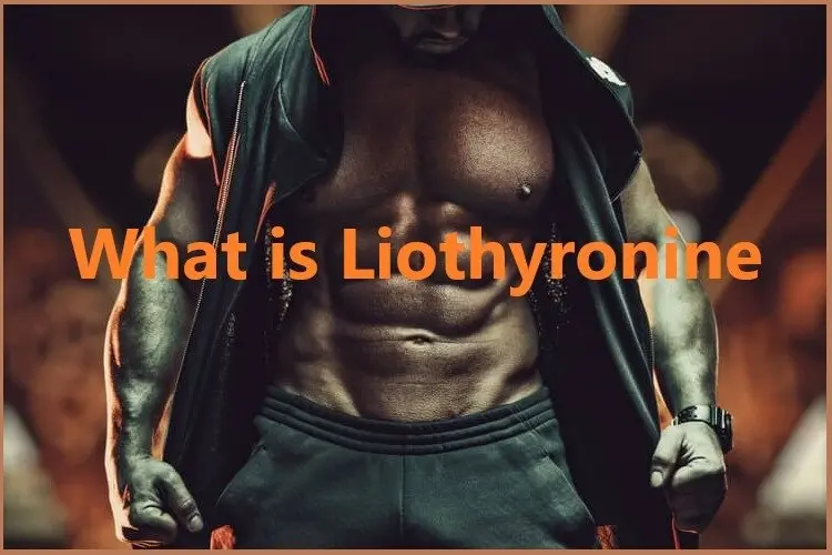 What is Liothyronine? What is Liothyronine?