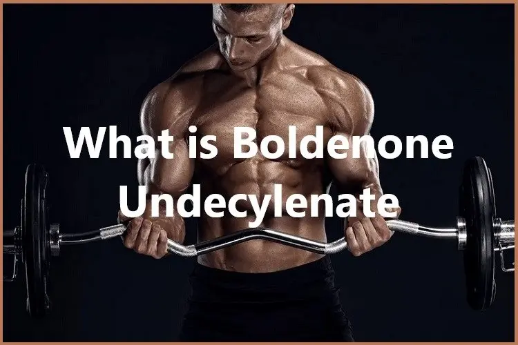 What is Boldenone Undecylenate?