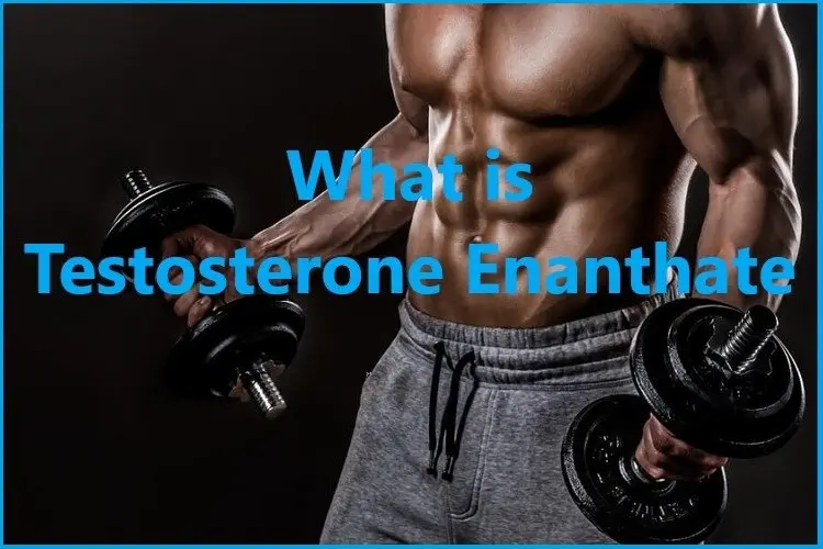 What is Testosterone Enanthate? What is Testosterone Enanthate?