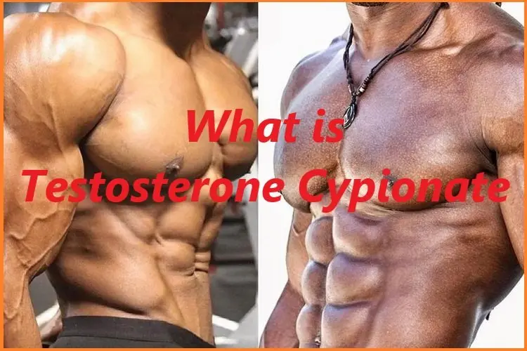 What is Testosterone Cypionate? What is Testosterone Cypionate?