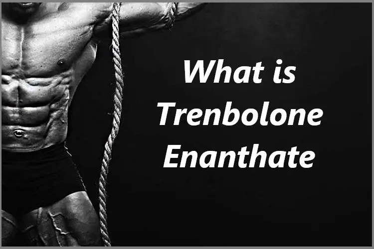 What is Trenbolone Enanthate?