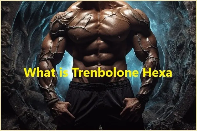 What is Trenbolone Hexa? What is Trenbolone Hexa?