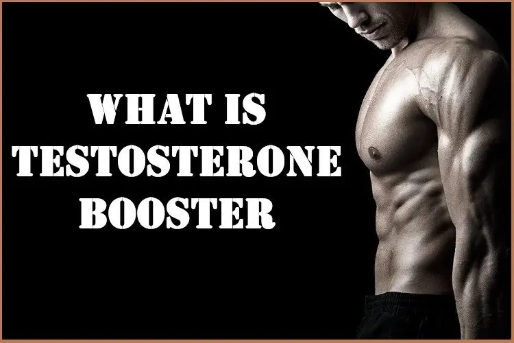 What is Testosterone Booster? What is Testosterone Booster?