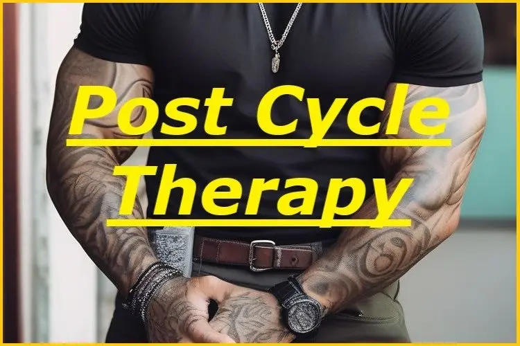 Post Cycle Therapy Post Cycle Therapy