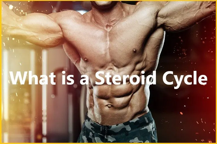 Steroids Cycles
