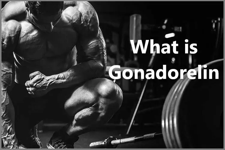 What is Gonadorelin? What is Gonadorelin?