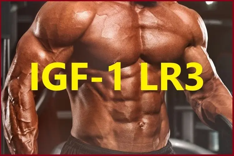 What is IGF-1 LR3? What is IGF-1 LR3?