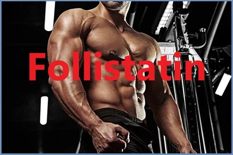 What is Follistatin 344?