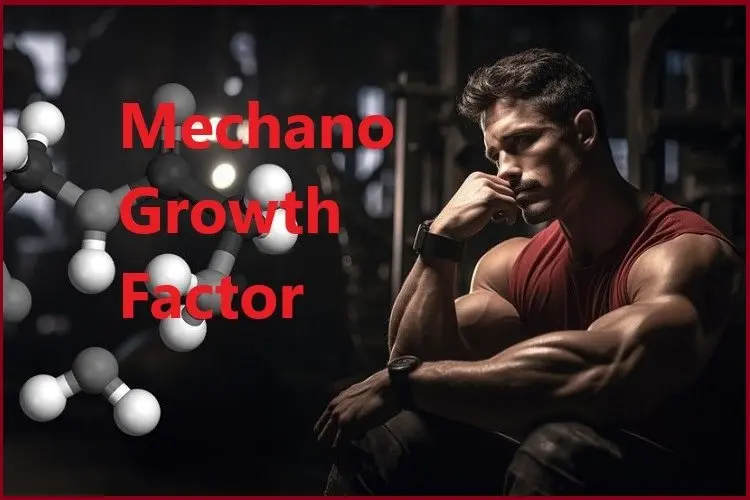 What is MGF (Mechano Growth Factor)? What is MGF (Mechano Growth Factor)?