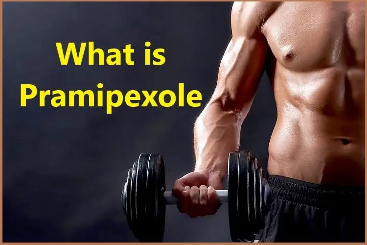 What is Pramipexole? What is Pramipexole?