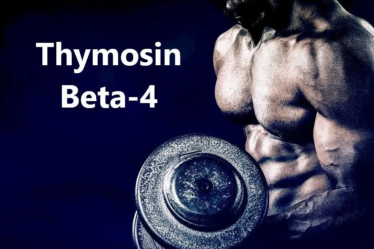 Thymosin Beta-4