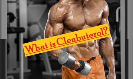 What is Clenbuterol – A Cutting Period Perfection