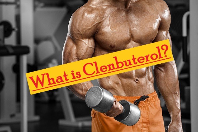 What is Clenbuterol – A Cutting Period Perfection What is Clenbuterol – A Cutting Period Perfection