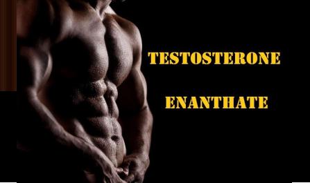 Testosterone Enanthate >> Uses, Dosage & Side Effects
