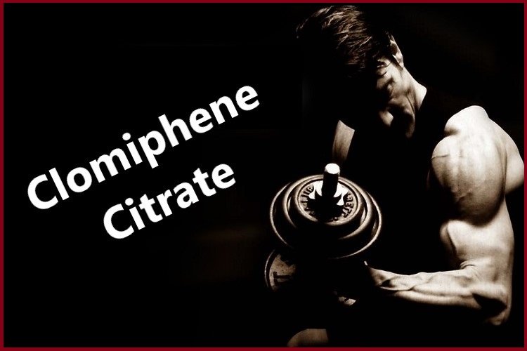 What is Clomiphene? What is Clomiphene?
