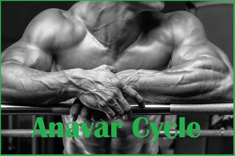 Anavar Cycle