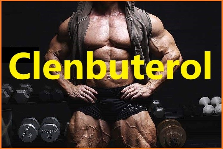 Clenbuterol