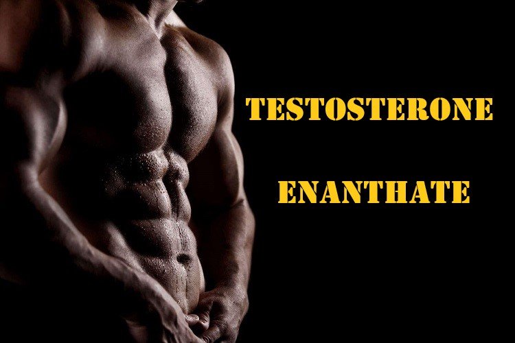Testosterone Enanthate >> Uses, Dosage & Side Effects