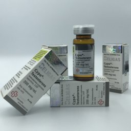 Cypo-Testosterone 200