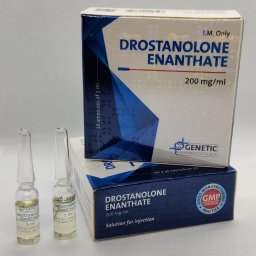 Drostanolone Enanthate (Genetic) - Drostanolone Enanthate - Genetic Pharmaceuticals Drostanolone Enanthate (Genetic) - Drostanolone Enanthate - Genetic Pharmaceuticals