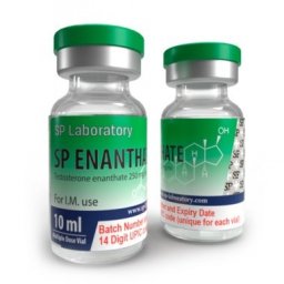 SP Enanthate - Testosterone Enanthate - SP Laboratories SP Enanthate - Testosterone Enanthate - SP Laboratories