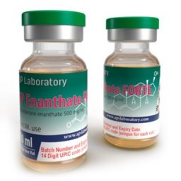 SP Enanthate Forte - Testosterone Enanthate - SP Laboratories SP Enanthate Forte - Testosterone Enanthate - SP Laboratories