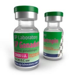 SP Gonadotropin 5000iu - Human Chorionic Gonadotropin - SP Laboratories