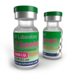 SP Gonadotropin 5000iu - Human Chorionic Gonadotropin - SP Laboratories SP Gonadotropin 5000iu - Human Chorionic Gonadotropin - SP Laboratories
