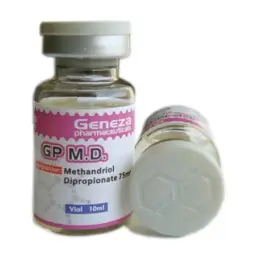 GP MD