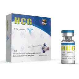 HCG 10000iu