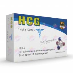 HCG 10000iu