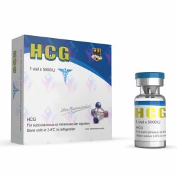 HCG 5000iu