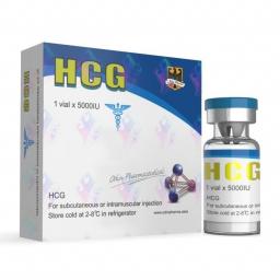 HCG 5000iu - Human Chorionic Gonadotrophin - Odin Pharma