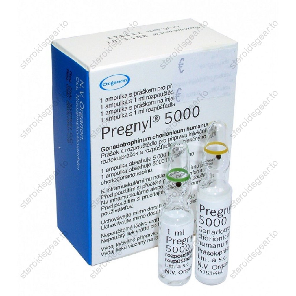 HCG Pregnyl 5000iu HCG Pregnyl 5000iu