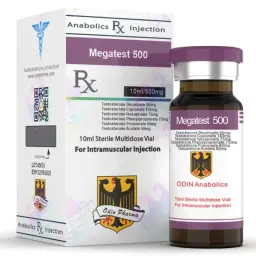 Megatest 500